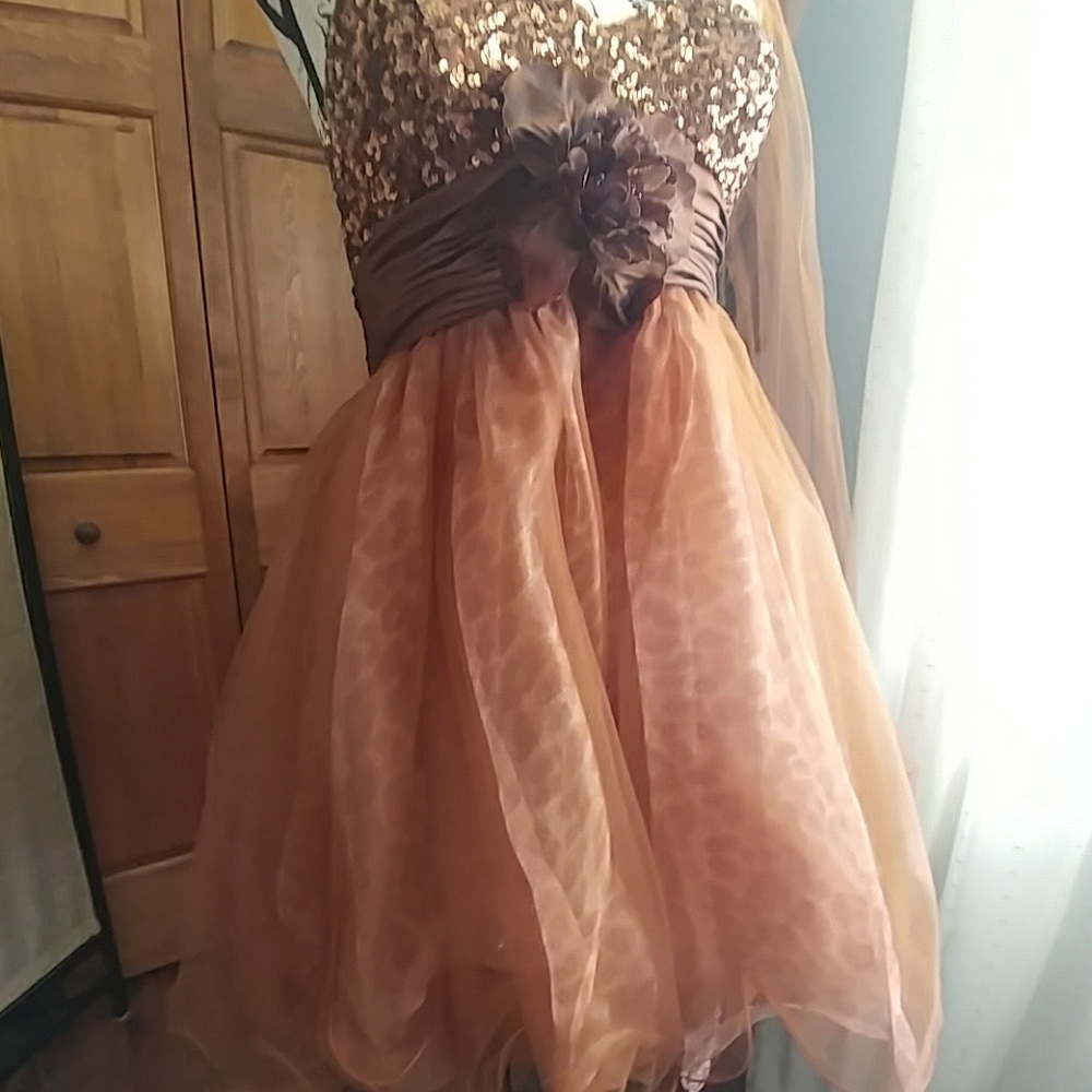 Formal Dress - Picture 4 of 4